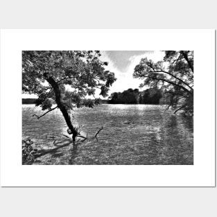 Tree in a Lake Black and White Digital Pencil Drawing Posters and Art